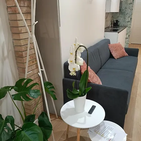 Апартаменты Loft Fiore *